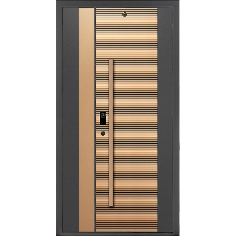 Porte d'entrée en acier inoxydable moderne porte extérieure serrure intelligente porte d'entrée pour porte de maison