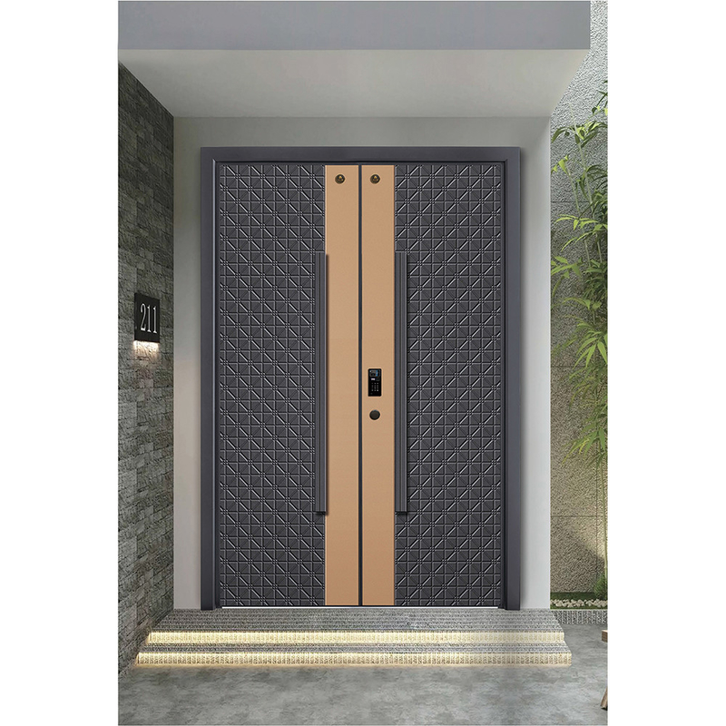 Porte d'entrée en acier inoxydable moderne porte extérieure serrure intelligente porte d'entrée pour porte de maison